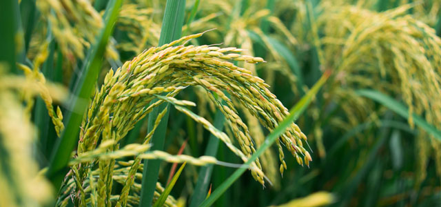 test2